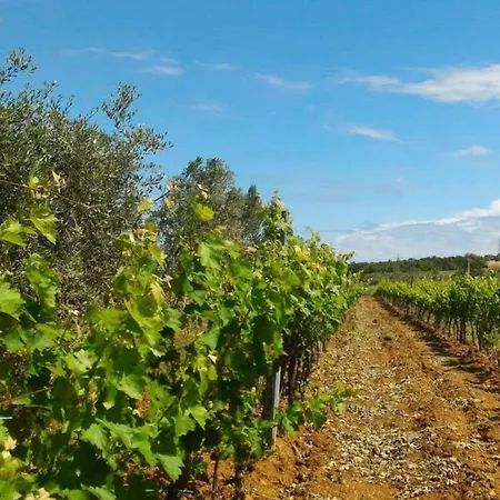 مزرعة للإقامة La Mandriana *