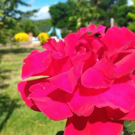 La Mandriana مزرعة للإقامة ماسا ماريتيما