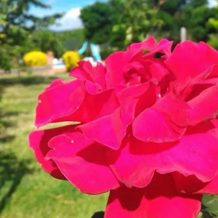 مزرعة للإقامة La Mandriana