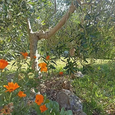 مزرعة للإقامة La Mandriana ماسا ماريتيما