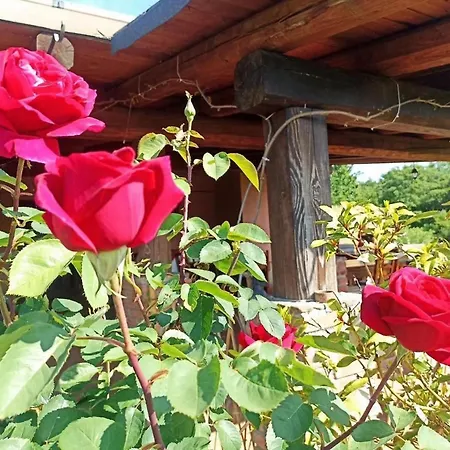 La Mandriana ماسا ماريتيما