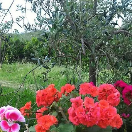 مزرعة للإقامة La Mandriana