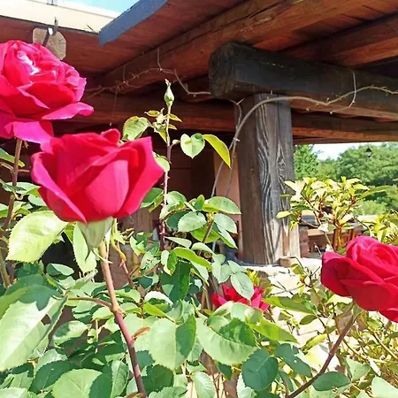 مزرعة للإقامة La Mandriana ماسا ماريتيما