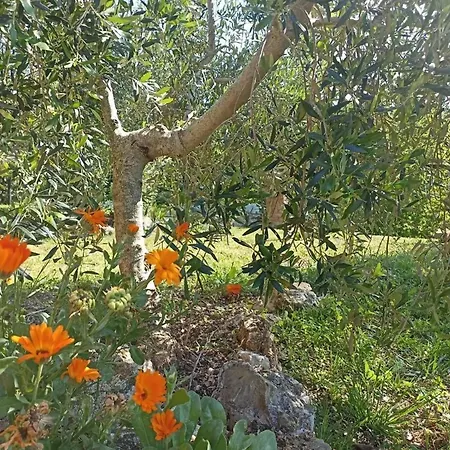 مزرعة للإقامة La Mandriana *