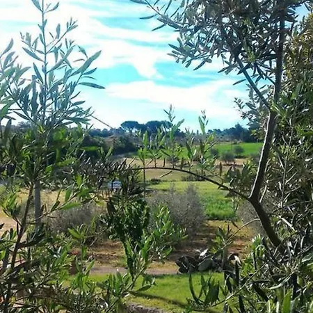 La Mandriana Massa Marittima