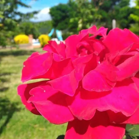 Farm stay La Mandriana Massa Marittima